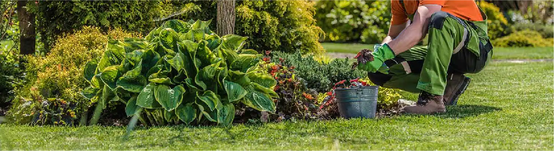 Residential Design & Build Belmire Premier Landscape Solutions